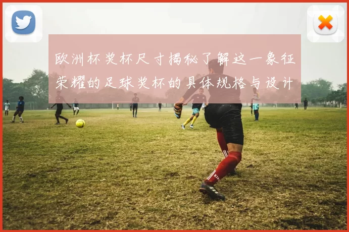 欧洲杯奖杯尺寸揭秘了解这一象征荣耀的足球奖杯的具体规格与设计细节