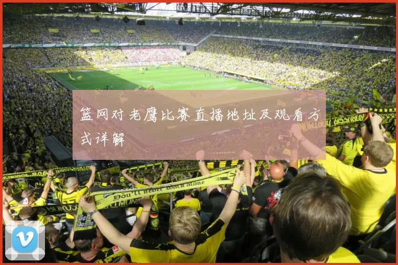 篮网对老鹰比赛直播地址及观看方式详解